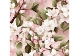 pink sakura